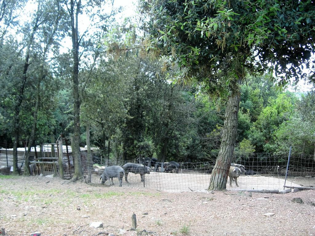 Tenuta La Bandita ساسيتا المظهر الخارجي الصورة